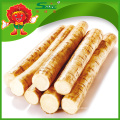 Comprar barato Origen Chino Burdock Fresh Burdock Root Fábrica de Suministro Directo